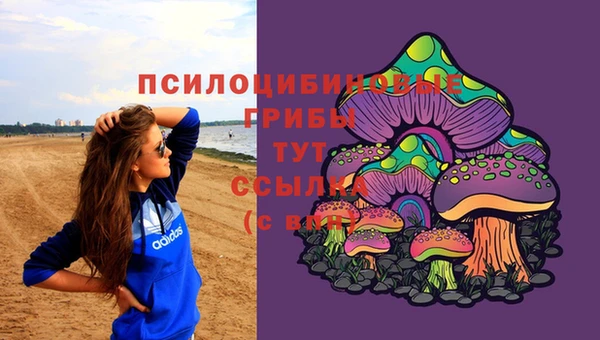 каннабис Ельня